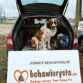 Tropdog- wyprowadź swojego psa po raz pierwszy w Przemęcie!