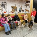 Tropdog- wyprowadź swojego psa po raz pierwszy w Przemęcie!