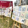 Tropdog- wyprowadź swojego psa po raz pierwszy w Przemęcie!