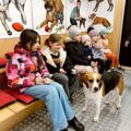 Tropdog- wyprowadź swojego psa po raz pierwszy w Przemęcie!