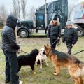 Tropdog- wyprowadź swojego psa po raz pierwszy w Przemęcie!