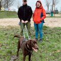 Tropdog- wyprowadź swojego psa po raz pierwszy w Przemęcie!