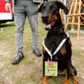 Tropdog- wyprowadź swojego psa po raz pierwszy w Przemęcie!