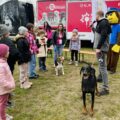 Tropdog- wyprowadź swojego psa po raz pierwszy w Przemęcie!