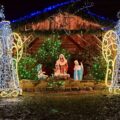 W świątecznej krainie magii. Niezapomniany wyjazd do Deli Parku